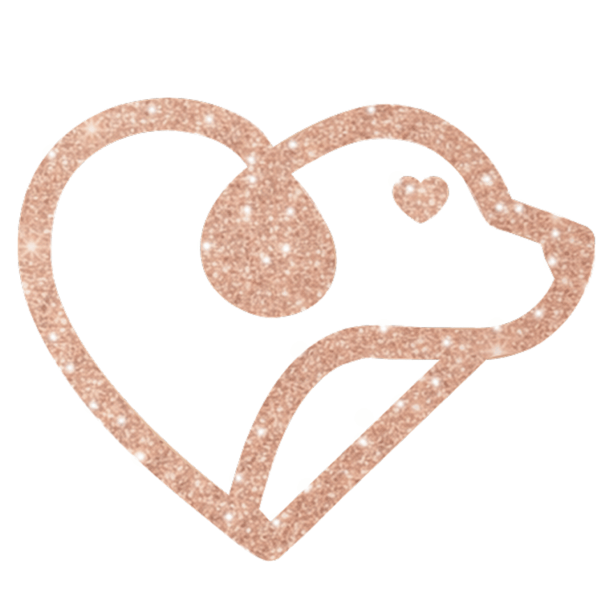 Lovely Pet – Il Meglio per il Tuo Animale